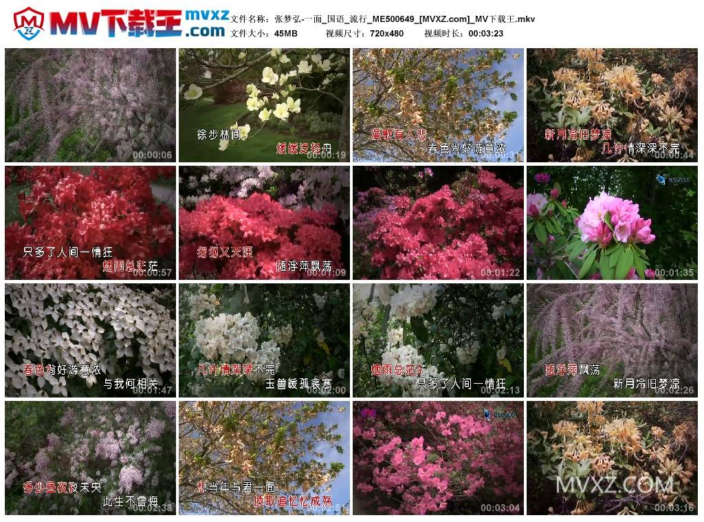 张梦弘-一面_国语_流行_ME500649